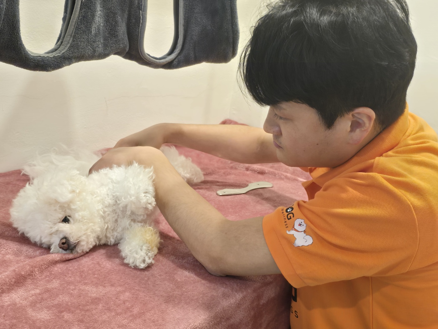 KakaoTalk_20240419_160521434.jpg